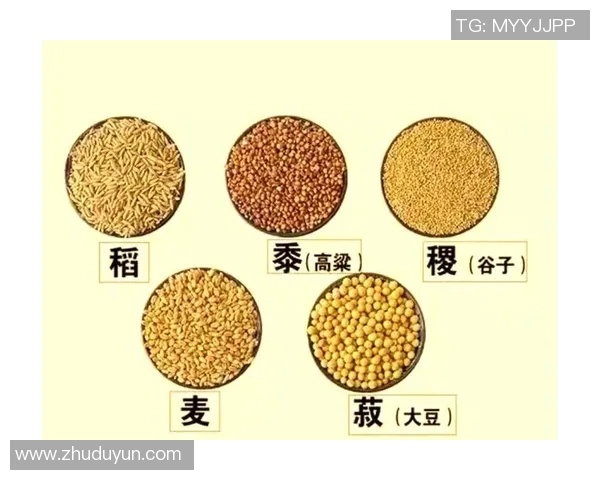 五谷丰登：探寻五种传统农作物的历史、文化与现代发展趋势